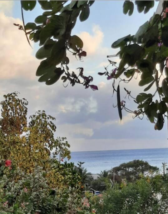 5 Min Plage T2 Ideal Pour Retraites/Jeune Couple Sainte-Luce Kültér fotó